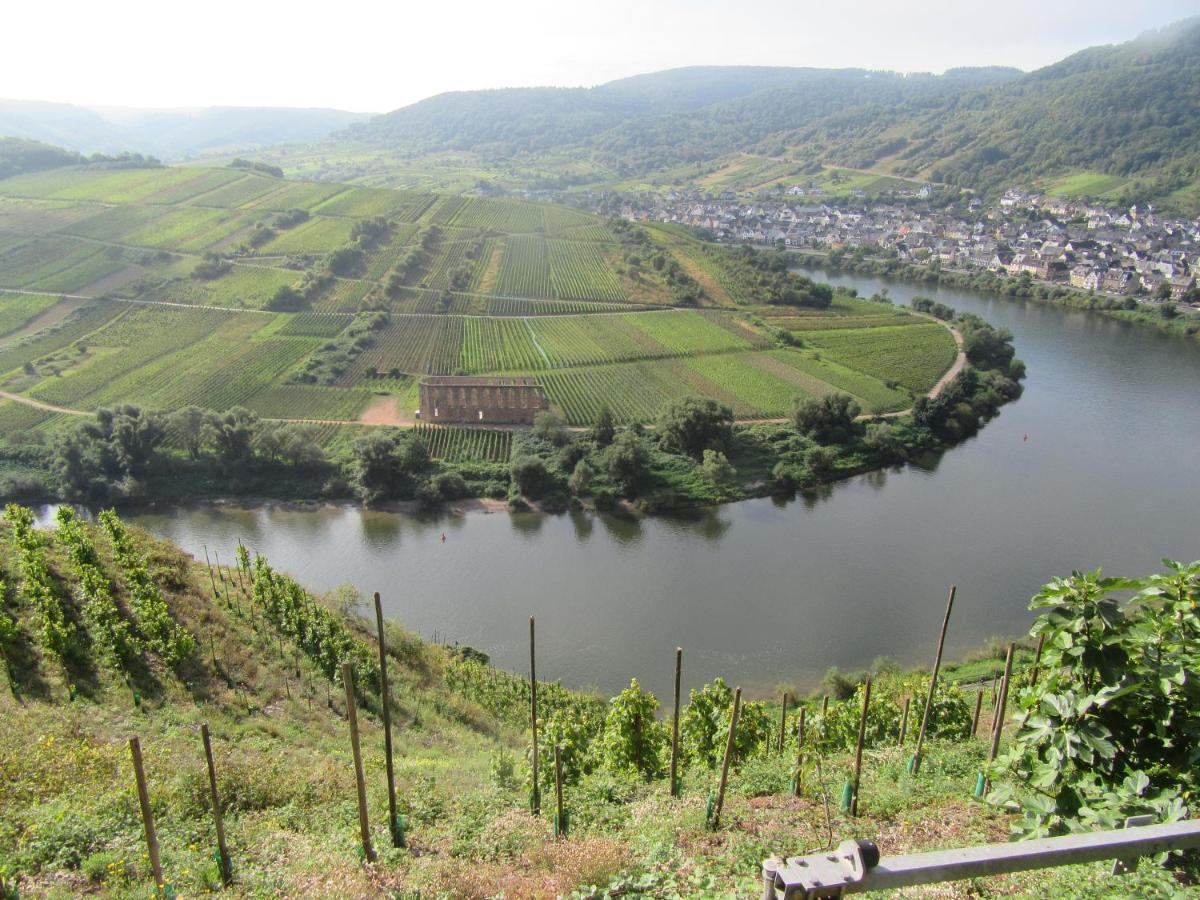 Ferienhaus Leopold Mit Burgblick An Der Mosel Burgen  Εξωτερικό φωτογραφία