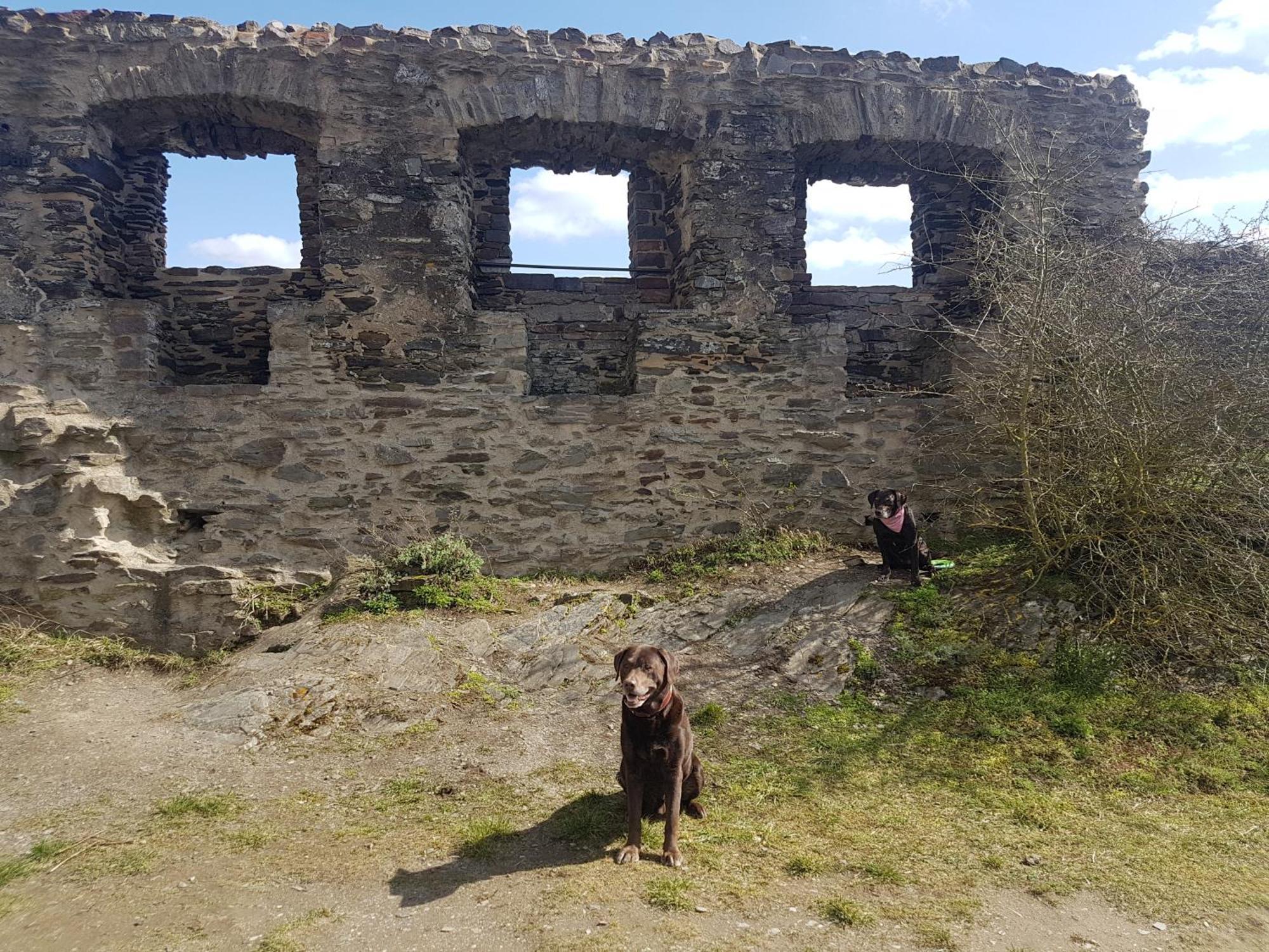 Ferienhaus Leopold Mit Burgblick An Der Mosel Burgen  Εξωτερικό φωτογραφία