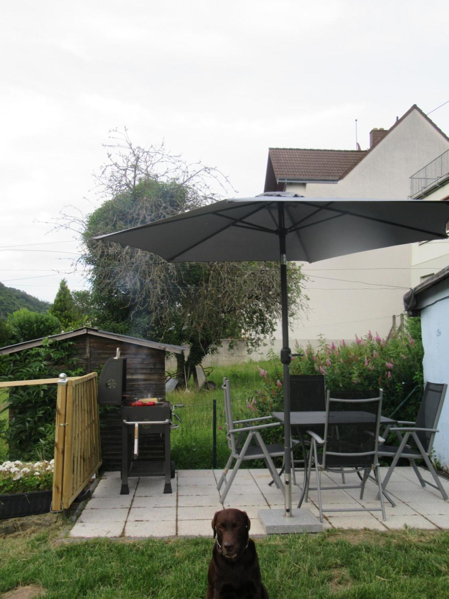 Ferienhaus Leopold Mit Burgblick An Der Mosel Burgen  Εξωτερικό φωτογραφία