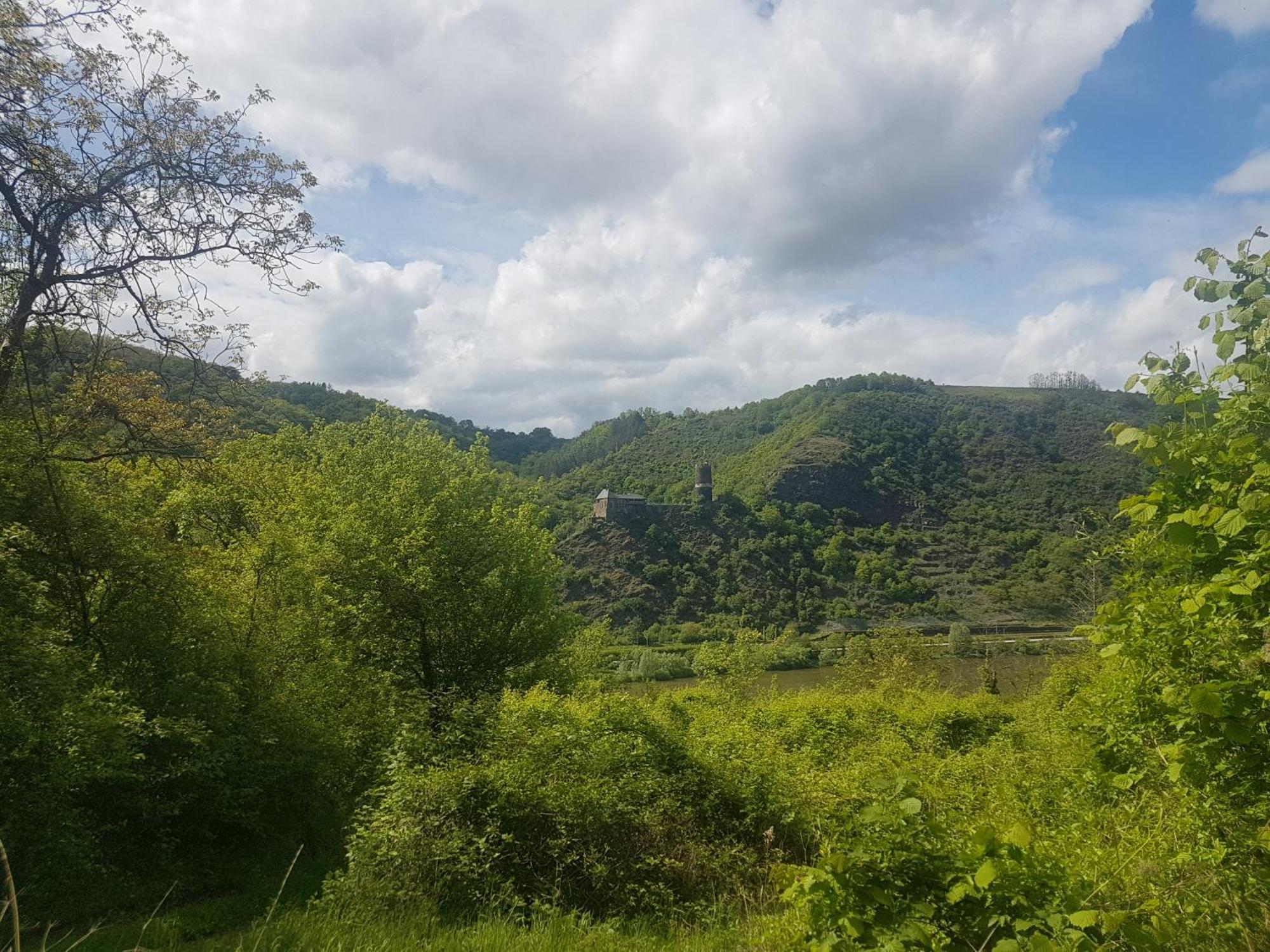 Ferienhaus Leopold Mit Burgblick An Der Mosel Burgen  Εξωτερικό φωτογραφία